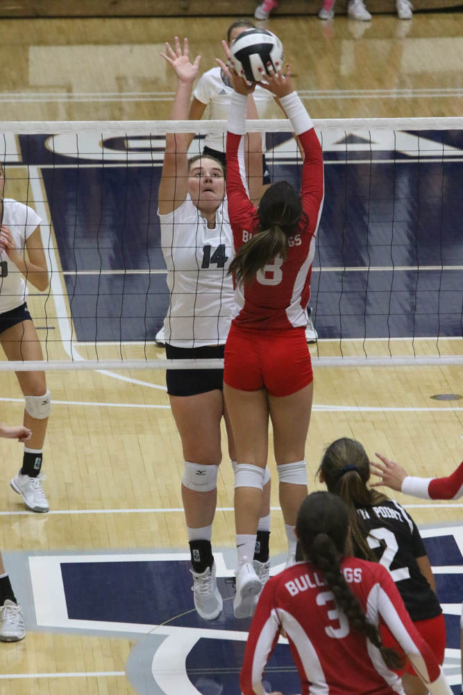 Gallery: Girls volleyball - Crown Point at Michigan City